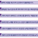 취업실무 스포츠마사지자격증 동영상으로 배우기 이미지