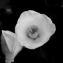 동백모텔 이미지