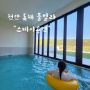 스테이 용연 | 천안 감성 숙소 추천 | 온수풀 독채 풀빌라 스테이용연 내돈내산 솔직후기