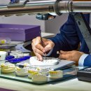 조영욱치과의원 이미지