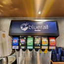 골라먹는재미 | 범계 초밥 어디갈까? 블루레일 쿠우쿠우 후기 접시 색깔 골라먹는 재미