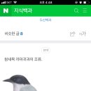 남대민박 이미지