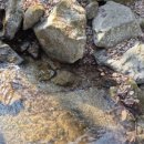 병만농장 이미지