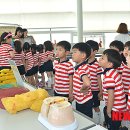 정선군보건소 이미지