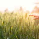 더공감정신건강의학과의원 이미지