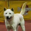 누가베스트 이미지