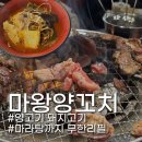 마왕마라탕 - 충주시 갱고개로 146 | [일산 맛집]마왕숯불꼬치구이&샤브 / 무한리필 배터지게 먹고싶을때! 솔직후기