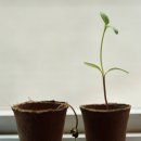 와라농장 이미지