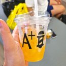 에이플러스(A+) 푸꾸옥 귀청소 이발소