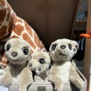 필전자 | [이케아 강동점] 냅킨·필피스크 지퍼백 &amp; 푸드코트 내돈내산 솔직후기