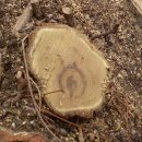 은평-028 이미지