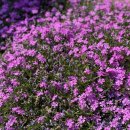 연화민박 이미지