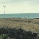 예향의 도시, 제주는 잠들지 않는다 이미지