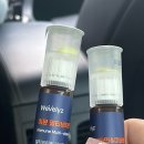 속초스테이온담 | [0825-0826] 뚜벅이 여자 둘의 속초 1박 2일 여행기(이번에는 먹기만 안함 ㄹㅇ)