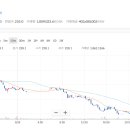 보라(Bora) 네이버블로그