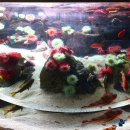 아쿠아플라넷 제주 이미지