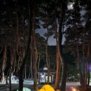 솔내음산촌마을 이미지