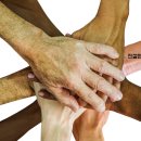 농업회사법인 주식회사 창창푸드 이미지