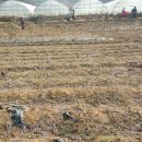 동녘농장 이미지