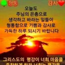 신국 카카오 검색결과