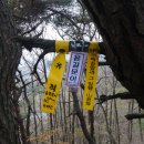 이진산