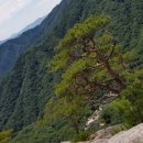 고려서원