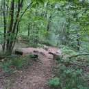 미소길탐방쉼터 이미지