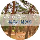 북천 공중화장실 | 포항 그린웨이 맨발로 걷기 좋은 곳, 흥해 북송리 북천수