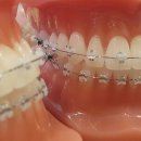 연세모두치과교정과치과의원 이미지