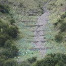 산세라 이미지