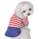 에이미펫 이미지