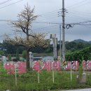 여강길(7코스 부처울습지길) 이미지