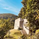 포도나무 민박 이미지