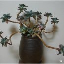 낚시통 대품 이미지