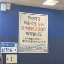 노량진수산시장 맛집 삼정집 재방문 아나고튀김 고추튀김 베이비크랩 포장 주차 꿀팁 솔직 후기