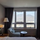 리필테라피 | 부산 와와샤브 대연점 무한리필 후기