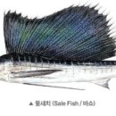 참치의힘 - 부산진구 양지로11번길 16 | 참치의힘