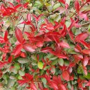 지우농장 이미지