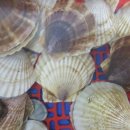 해계머니 이미지