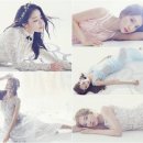 스텔라 이미지