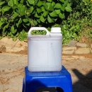 꼬꼬팜농장 이미지