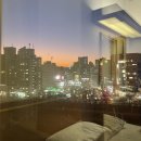 라이노짐 신방점 | [도쿄] 20230227 - 여자 혼자 도쿄 여행/ 입국, 이케부쿠로 오토메 로드