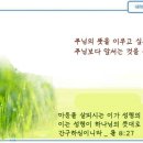 일일예화말씀묵상 2024년 6월 17일 (월) -청년기 이미지