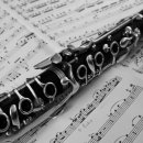 클라리넷 집중레슨 이미지