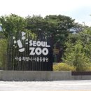서울대공원 동물병원 이미지
