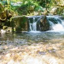 카오아시스 이미지