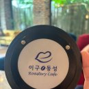 이구동성 | 남양주카페 별내카페 이구동성 로스터리 카페 방문 솔직 후기