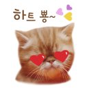 야피 이미지