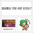 넌센스 Daum카페