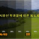 레이노솔라캐치두실점